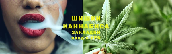 сатива Абаза