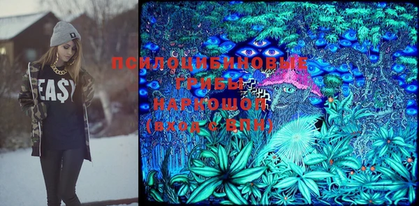 сатива Абаза