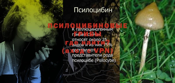 сатива Абаза